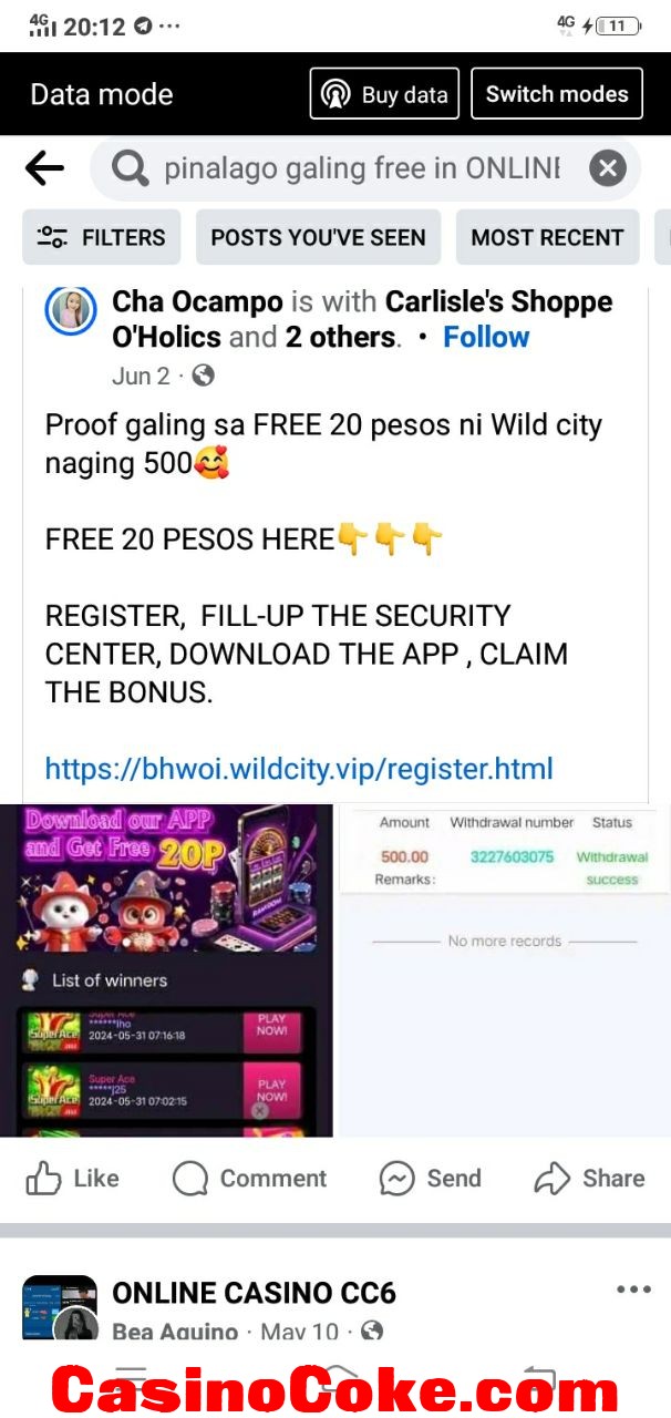 WILDCITY.jpg
