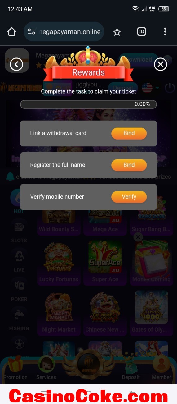 Screenshot_20241121-004343.jpg